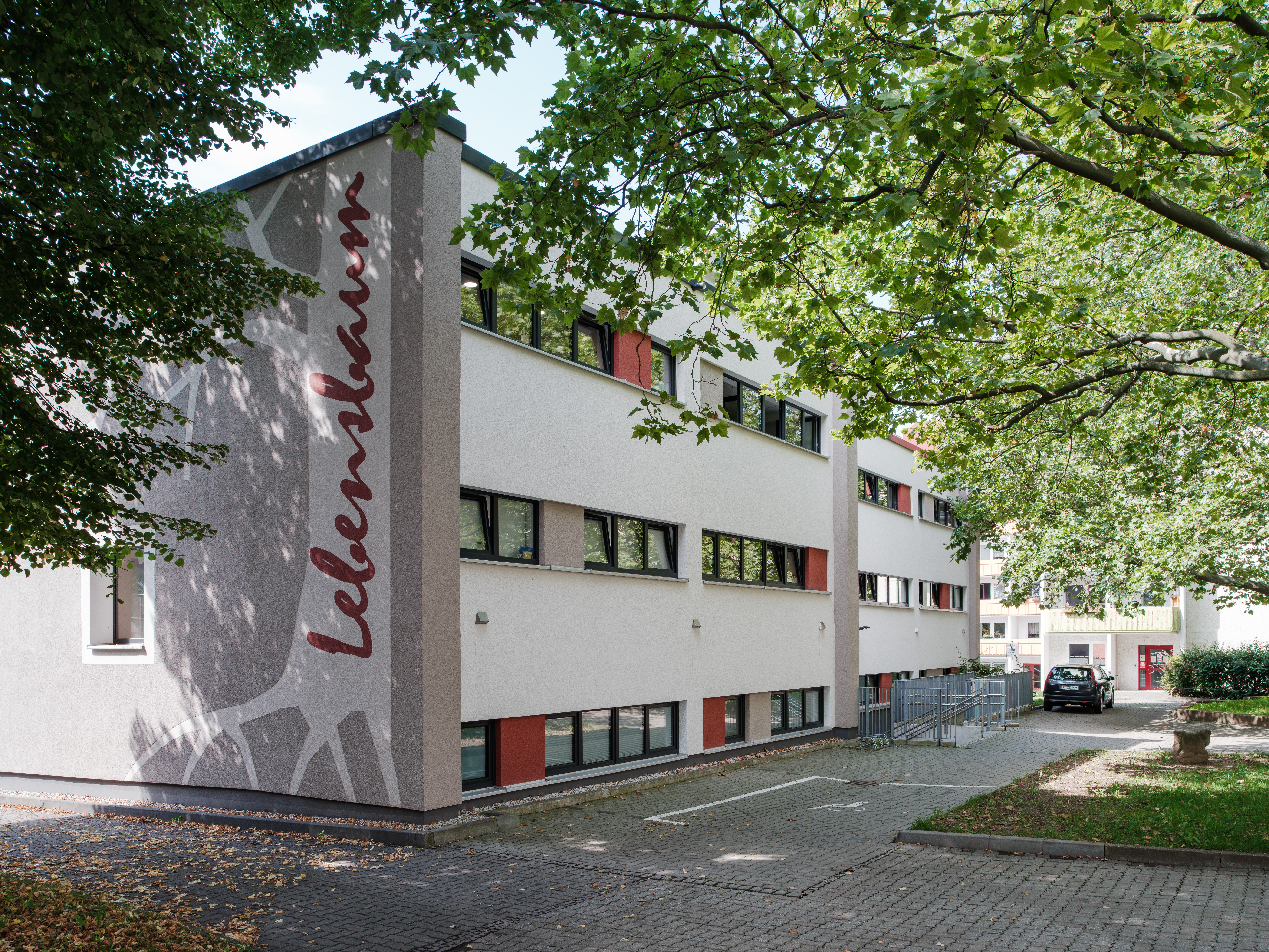 Kita Lebensbaum