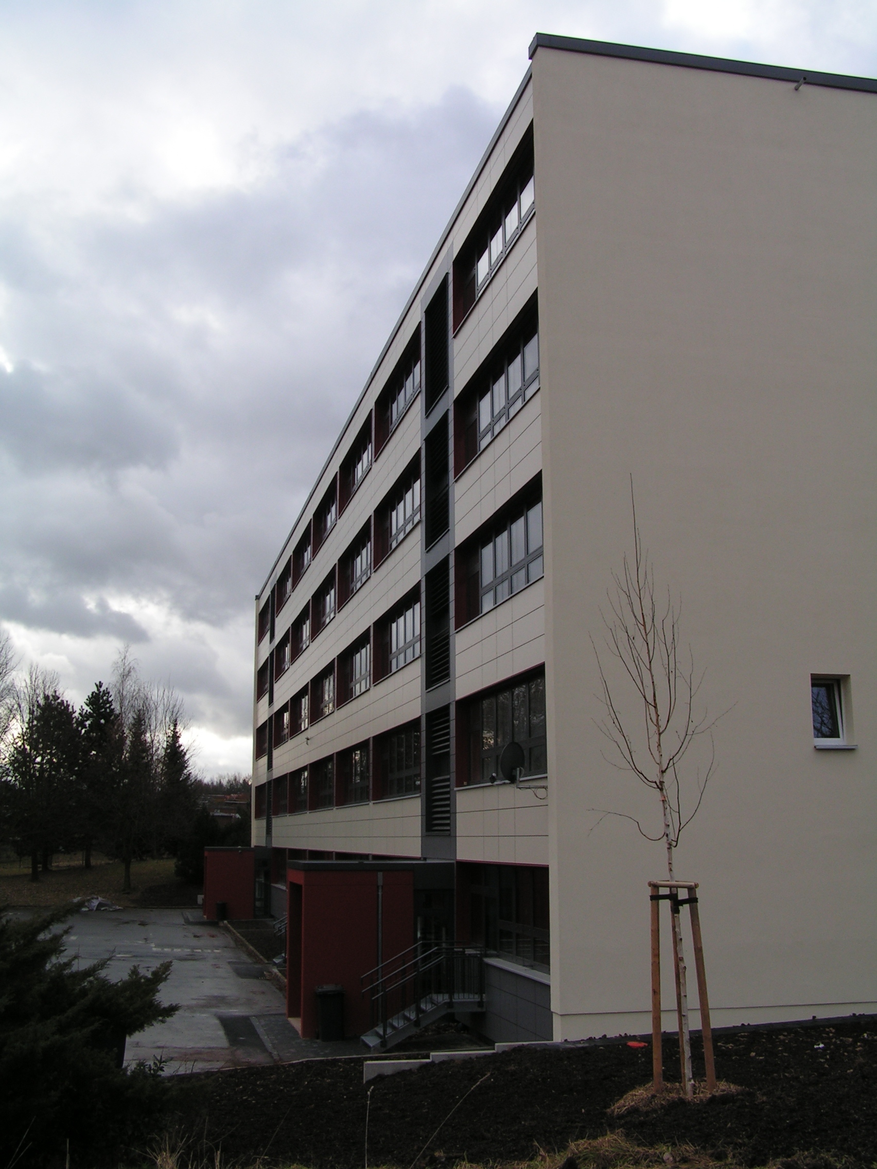 Sanierung Darwin Schule